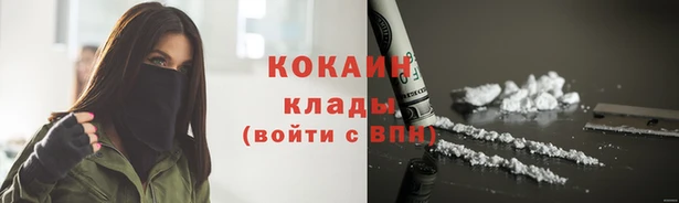 мяу мяу мука Новодвинск