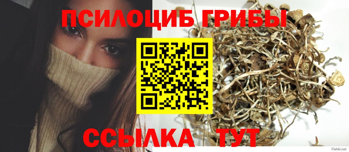 Галлюциногенные грибы Psilocybe  Вход с VPN  наркошоп  Ржев 